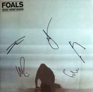 Foals ‎– What Went Down
