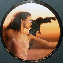 Load image into Gallery viewer, JOANNA NEWSOM - DIVERS ( 12&quot; RECORD )