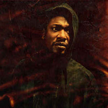 Load image into Gallery viewer, ROOTS MANUVA - BLEEDS ( 12&quot; RECORD )