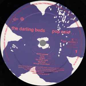 The Darling Buds – Pop Said...