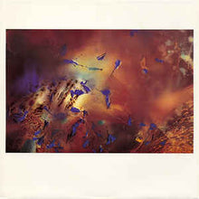 Load image into Gallery viewer, Cocteau Twins ‎– Victorialand