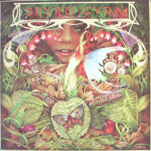 Load image into Gallery viewer, Spyro Gyra ‎– Morning Dance