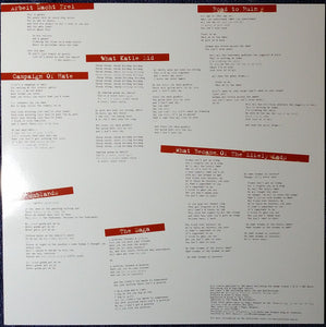 LIBERTINES - THE LIBERTINES ( 12" RECORD )