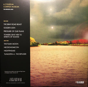 THE BESNARD LAKES - A COLISEUM COMPLEX MUSUEM ( 12" RECORD )