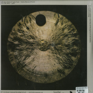 JAMES HOLDEN & CAMILO TIRADO / LUKE ABBOTT - OUTDOOR MUSEUM OF FRACTALS / 555HZ ( 12