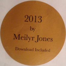 Load image into Gallery viewer, MEILYR JONES - 2013 ( 12&quot; RECORD )