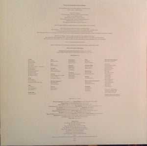 MEILYR JONES - 2013 ( 12" RECORD )