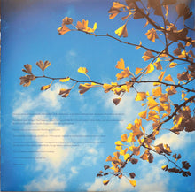 Load image into Gallery viewer, RM HUBBERT - TELLING THE TREES ( 12&quot; RECORD )