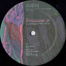 Load image into Gallery viewer, Dinosaur Jr. ‎– Give A Glimpse Of What Yer Not