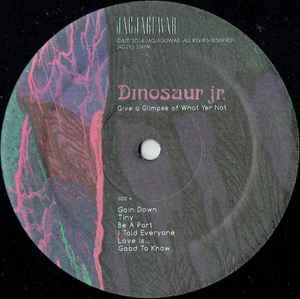 Dinosaur Jr. ‎– Give A Glimpse Of What Yer Not