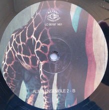 Load image into Gallery viewer, Alien Ensemble - Alien Ensemble 2 (LP ALBUM)