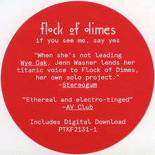 Load image into Gallery viewer, FLOCK OF DIMES - IF YOU SEE ME, SAY YES ( 12&quot; RECORD )