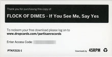 Load image into Gallery viewer, FLOCK OF DIMES - IF YOU SEE ME, SAY YES ( 12&quot; RECORD )