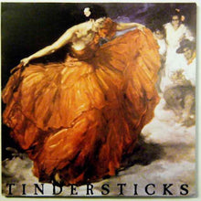 Load image into Gallery viewer, Tindersticks – The First Tindersticks Album