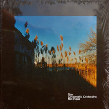 Load image into Gallery viewer, THE CINEMATIC ORCHESTRA - MA FLEUR ( 12&quot; RECORD )